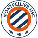 Logo MHSC VB